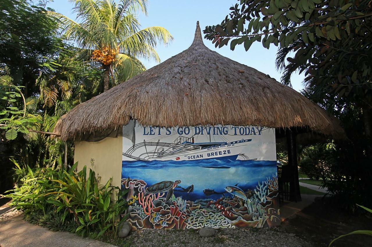 Thalatta Resort Zamboanguita  Екстериор снимка